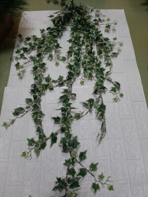 КЛ-650 Куст плюща